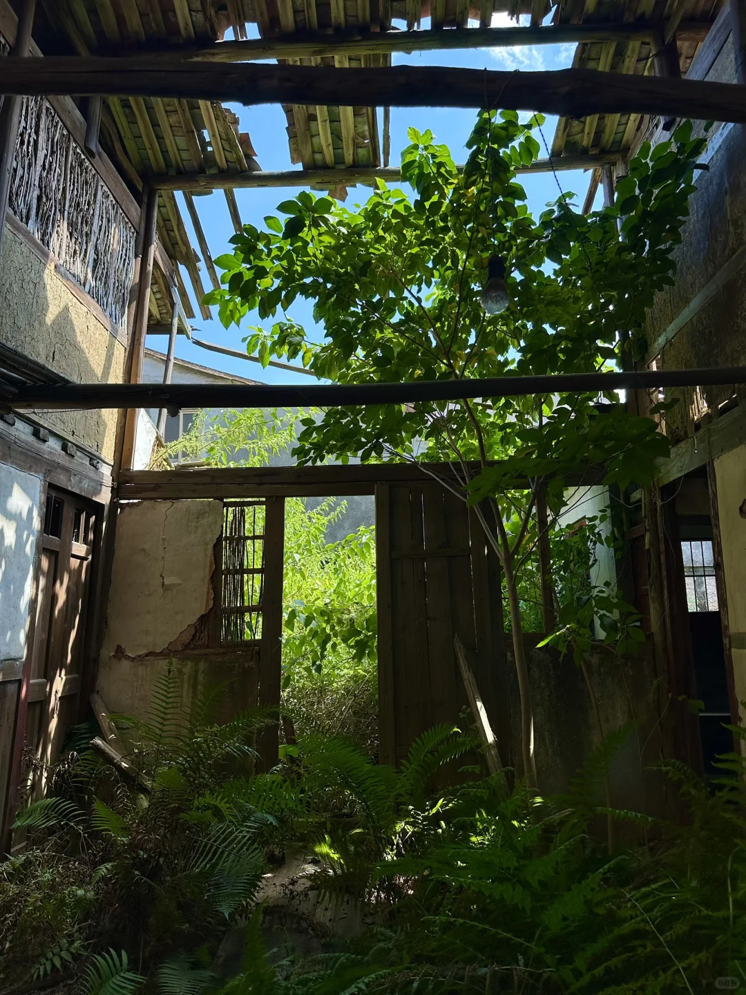 一位老爷爷去世多年后的家