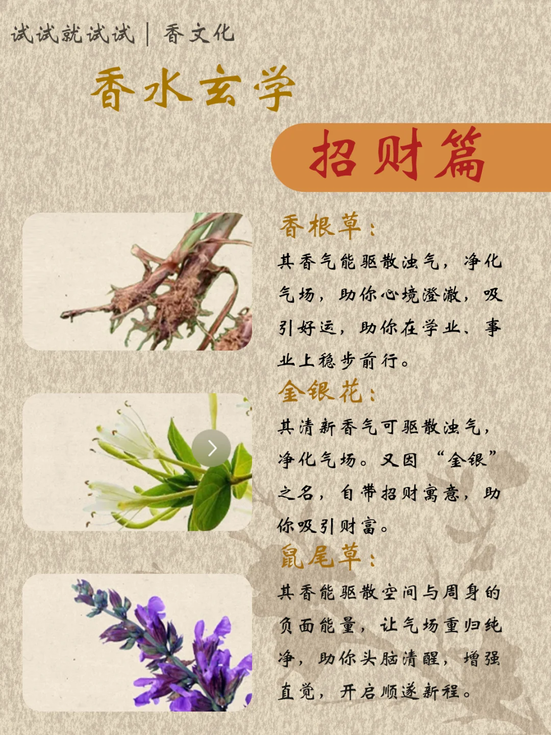 香水玄学|招财篇