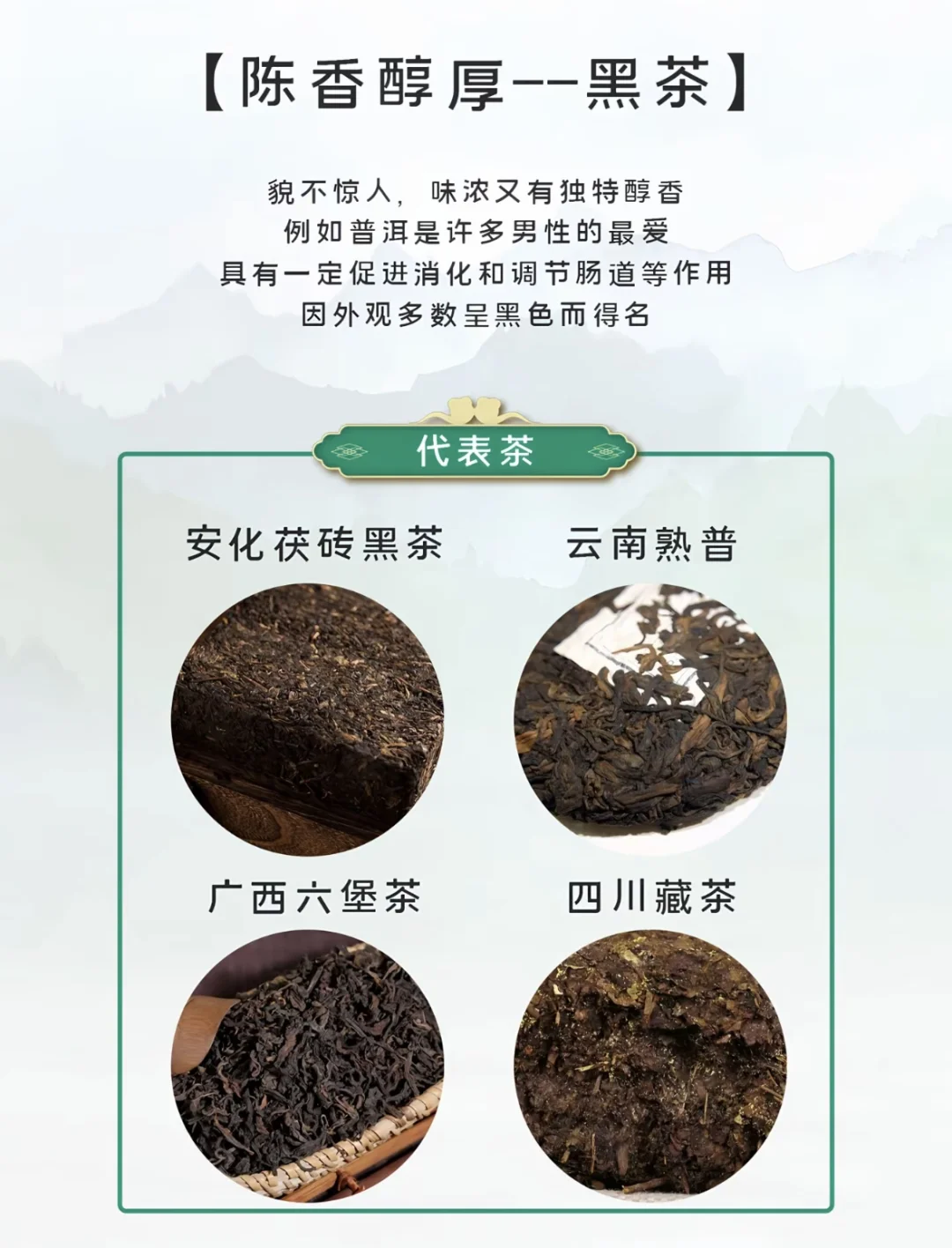 小茶叶大文化—新手选茶指南