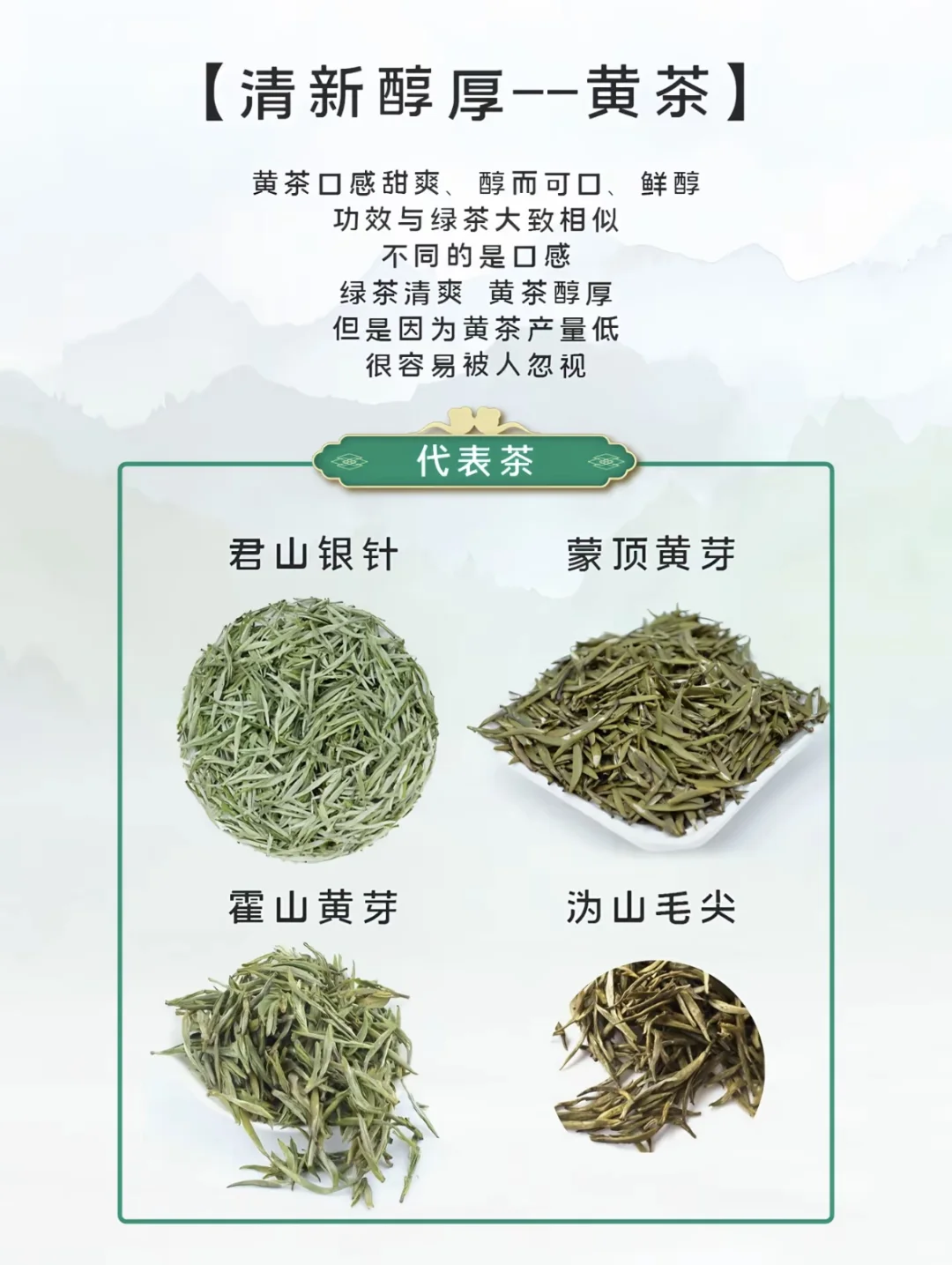 小茶叶大文化—新手选茶指南