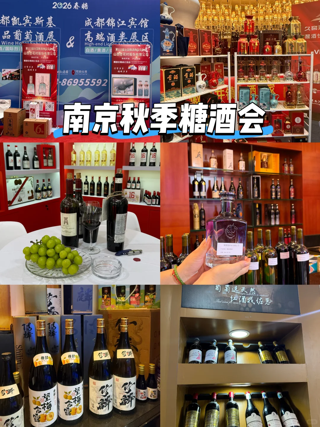 也是好起来了！我来逛南京秋糖展啦！