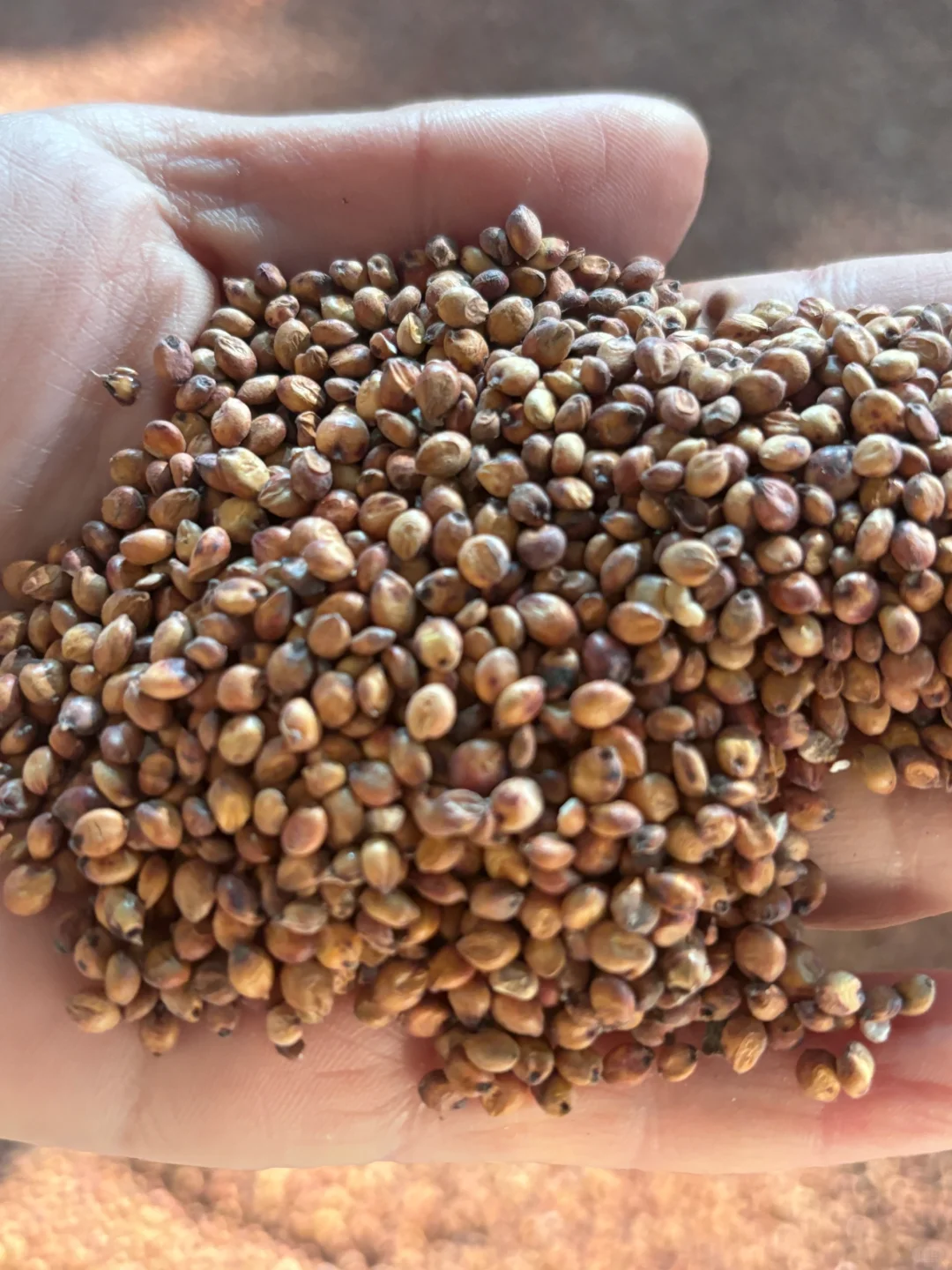 天气热了，马上又要停工了