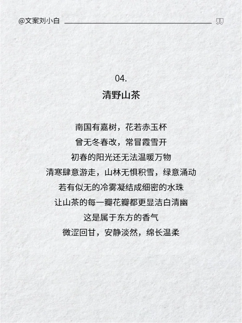 香氛文案 | 美到骨子里的中式生活美学