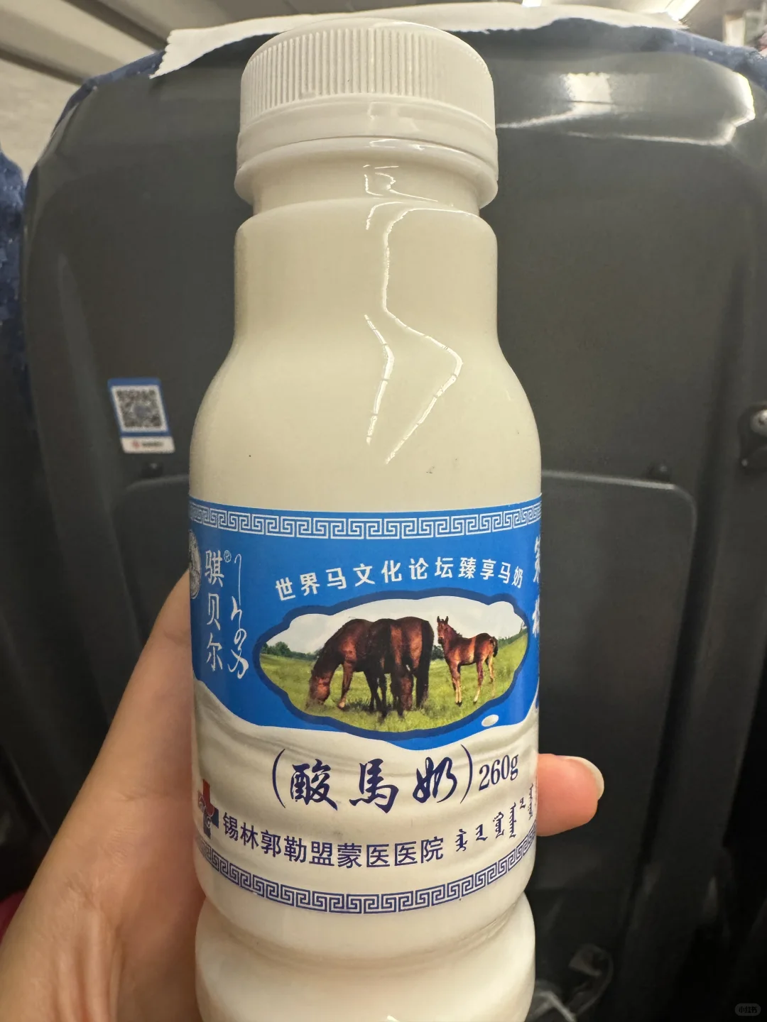 去内蒙就要吃肉