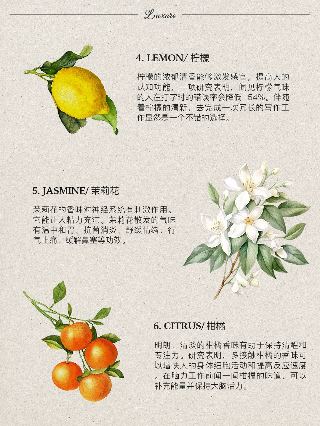 自然疗愈｜十二种能提升能量的香味