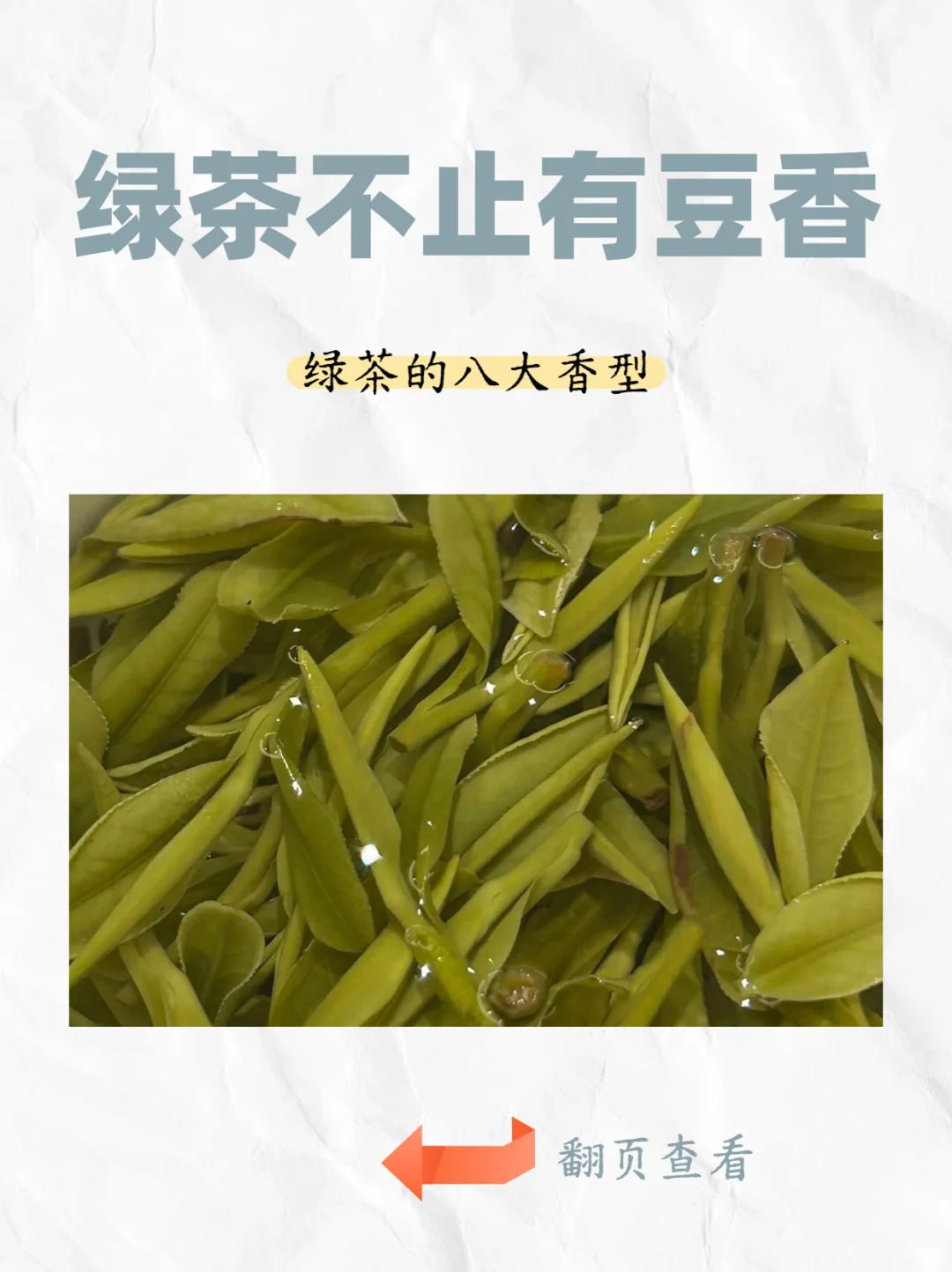 绿茶不止有豆香，还有这八大香型