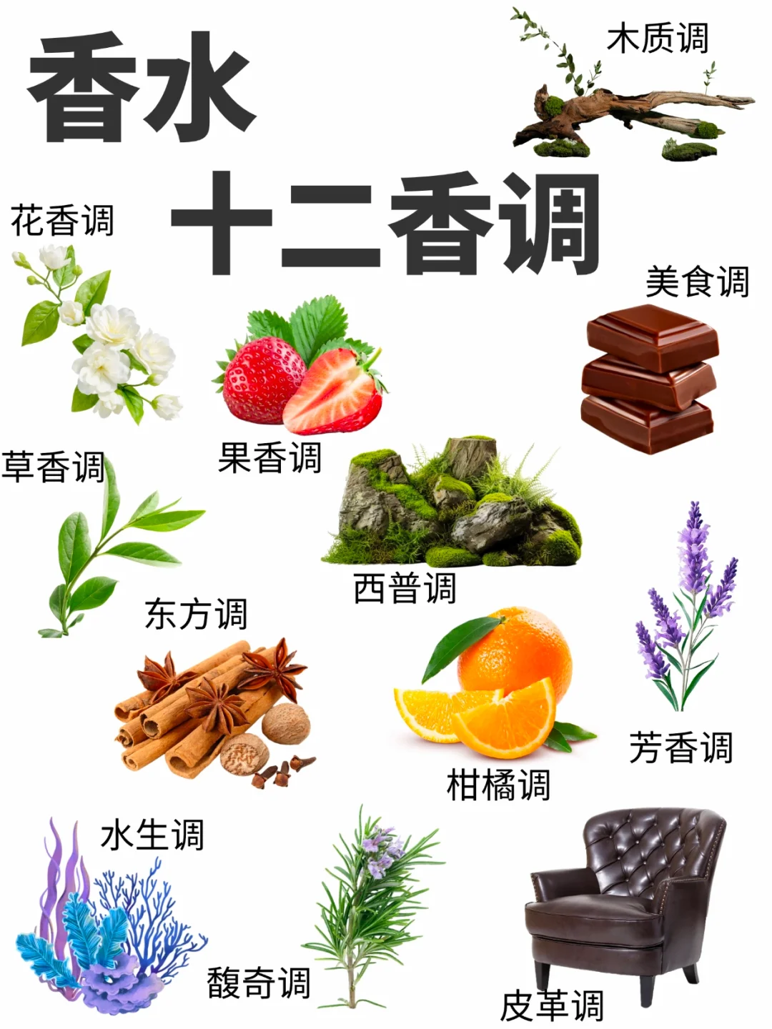 12香调全解析｜调香师私藏分类法，速存！