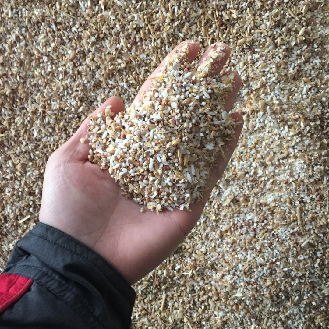 42度光瓶品鉴酒