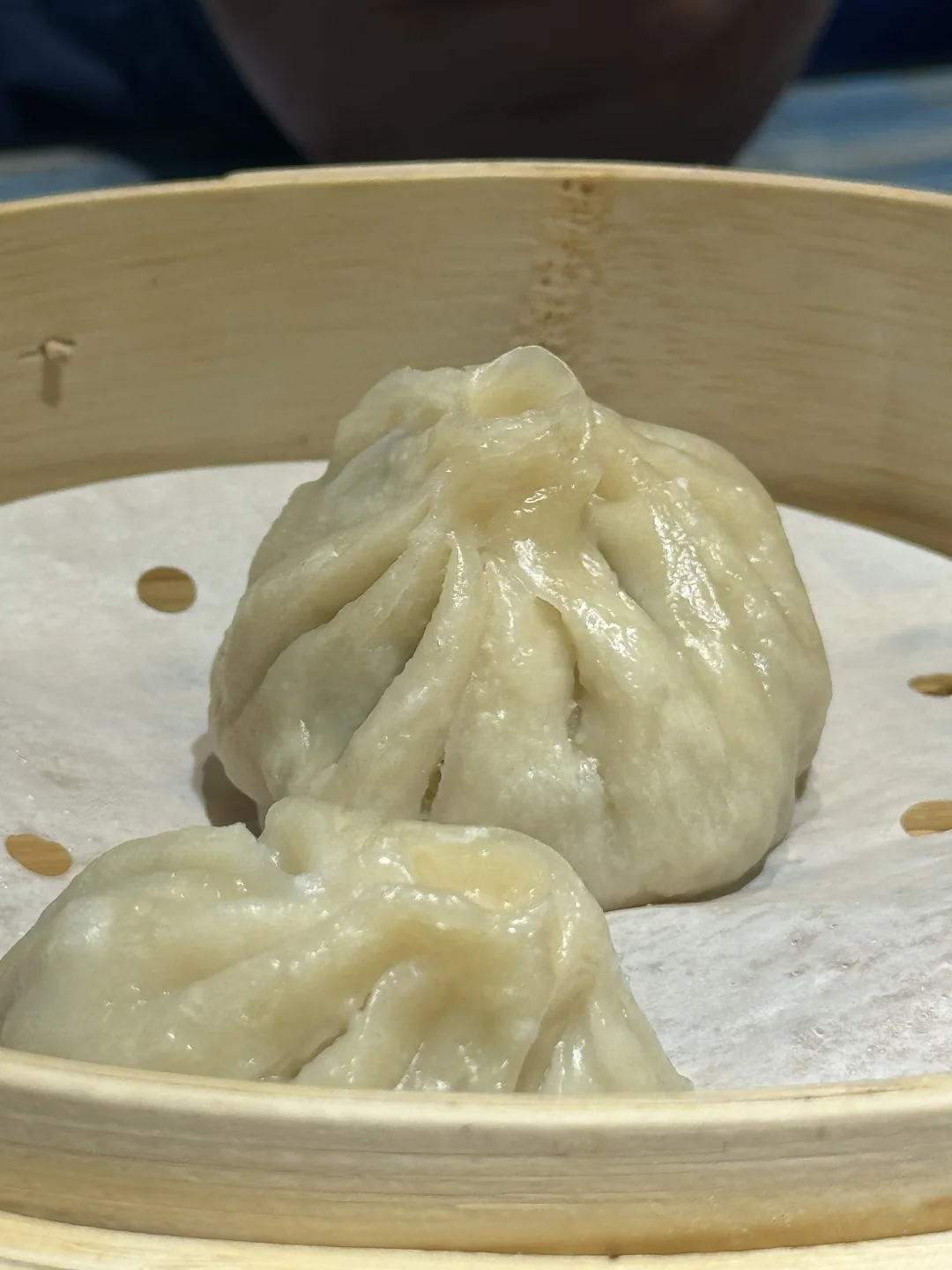 去内蒙就要吃肉