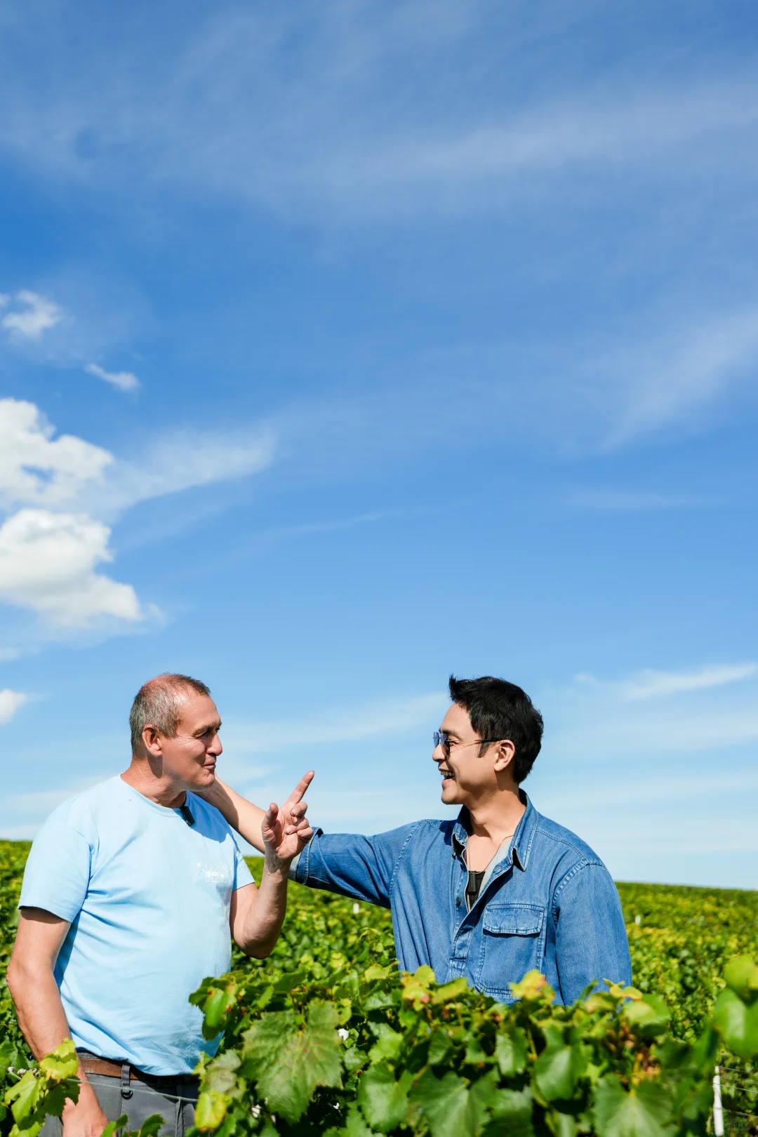 美好的一年｜在勃艮第，我尝到了风土的味道