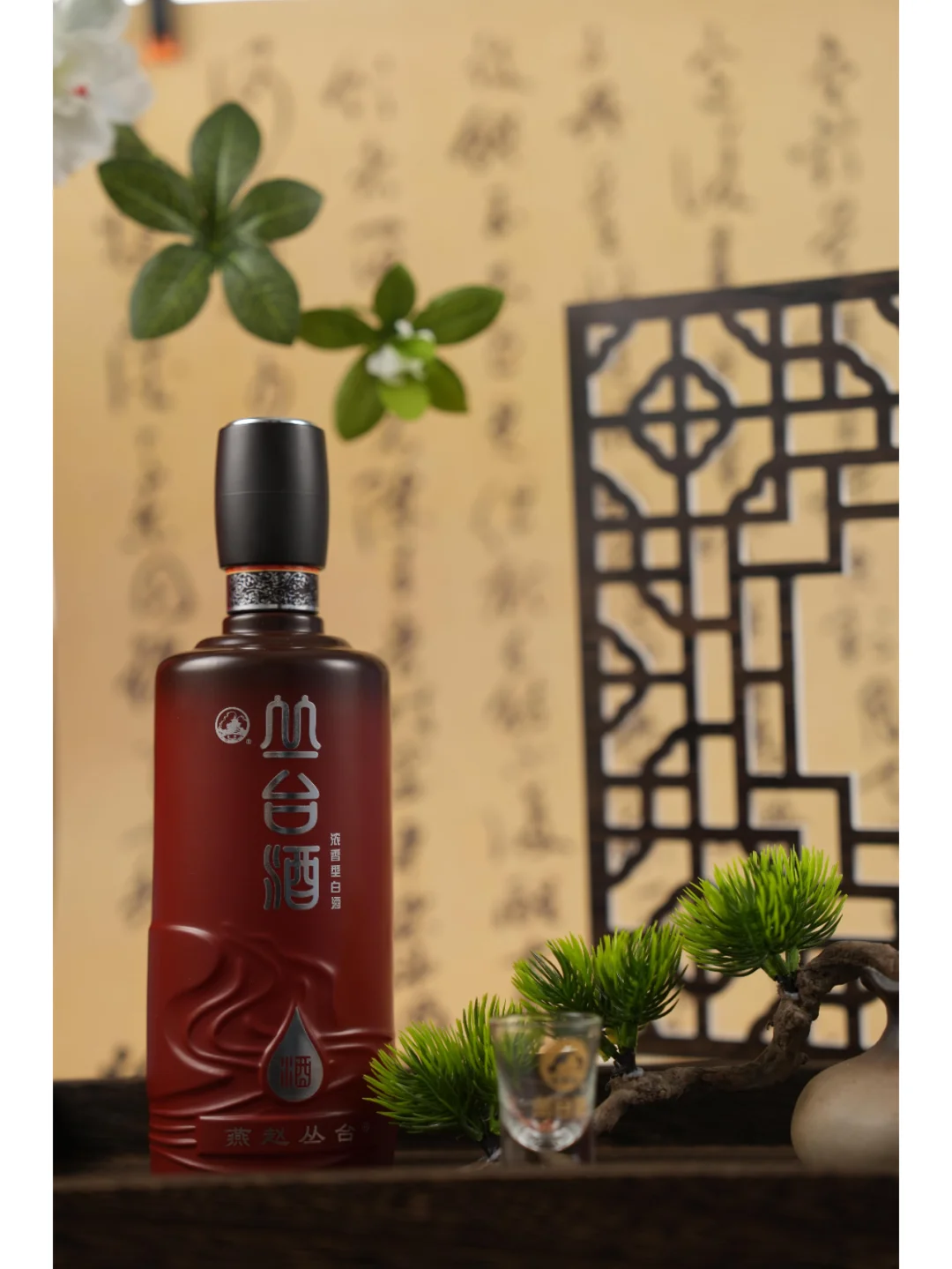 每天认识一款酒｜丛台·燕赵银顶