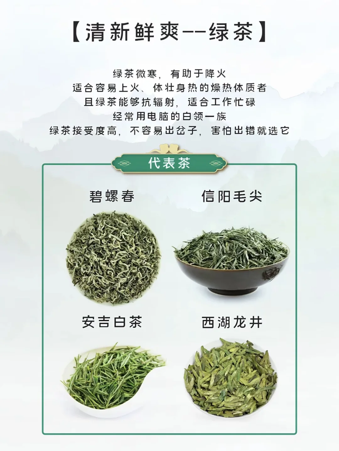 小茶叶大文化—新手选茶指南