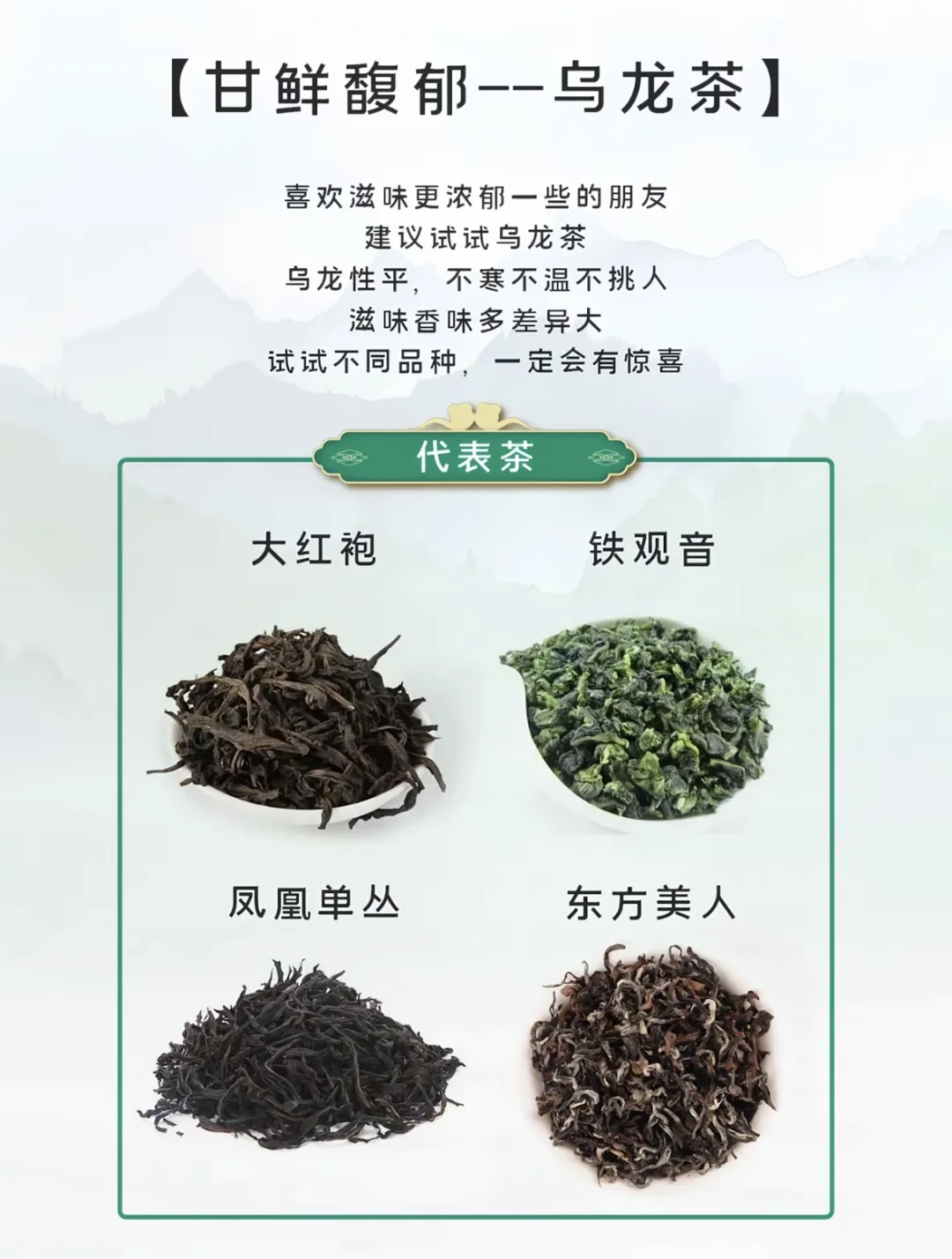 小茶叶大文化—新手选茶指南