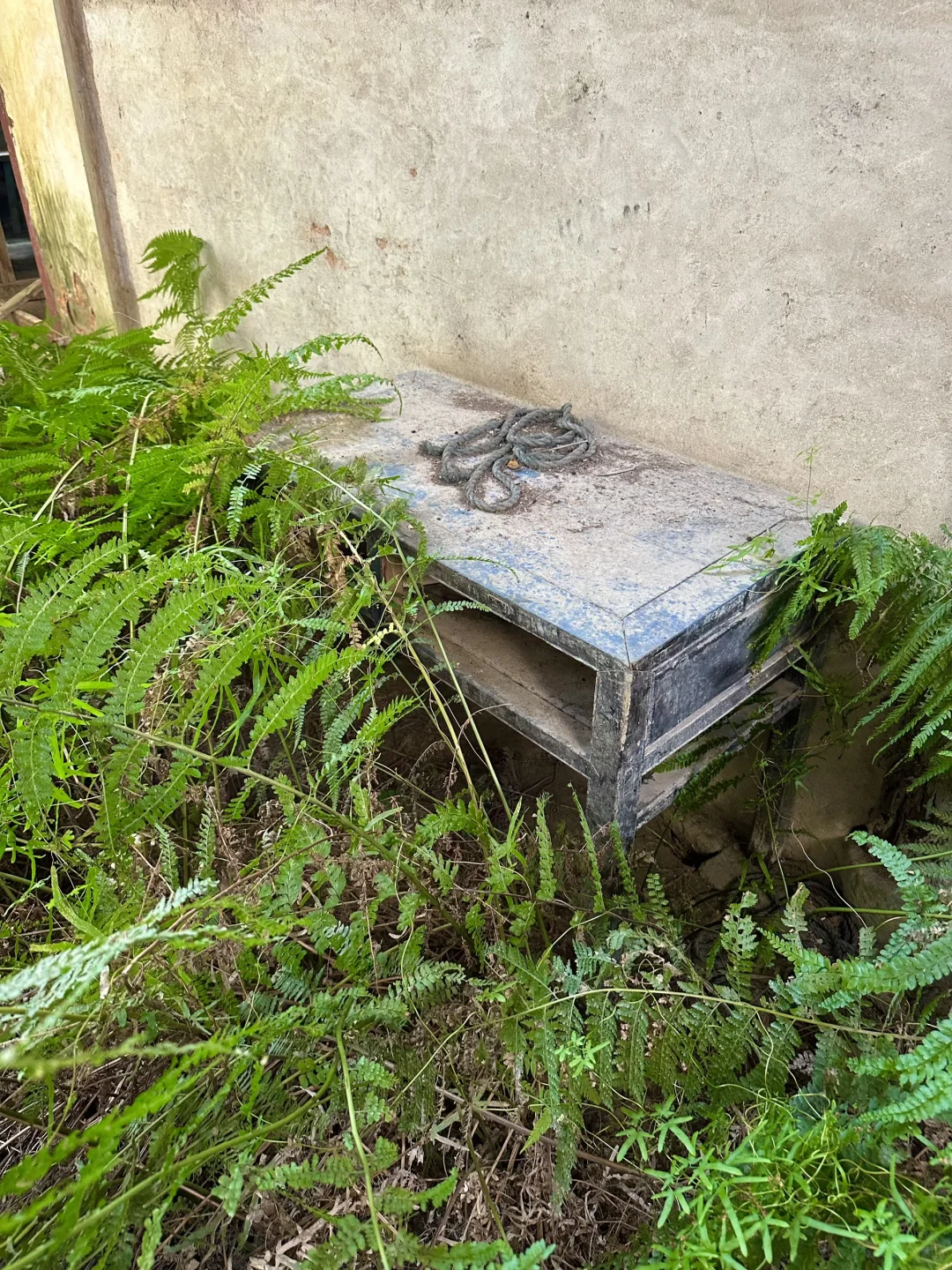 一位老爷爷去世多年后的家