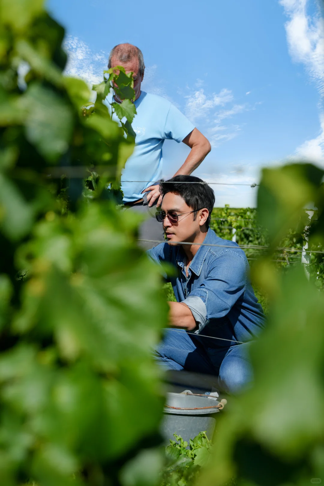 美好的一年｜在勃艮第，我尝到了风土的味道