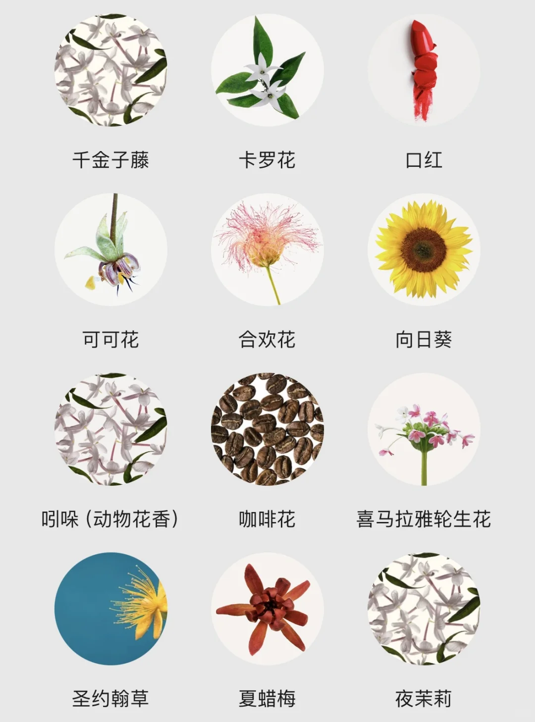 不会还有人不知道香水香调都有哪些吧！