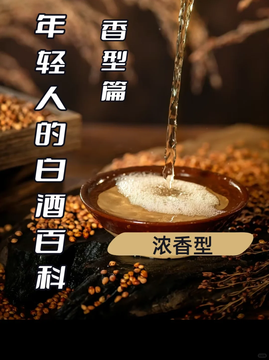 年轻人的白酒百科—浓香型白酒