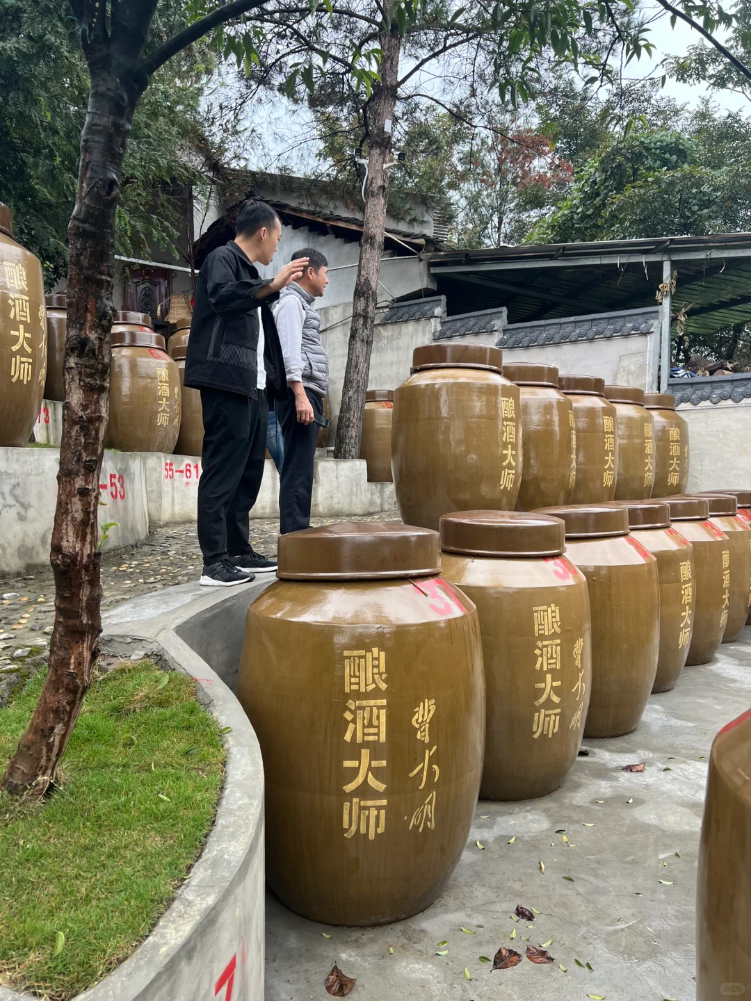 9️⃣还是坤沙好,就是难买到