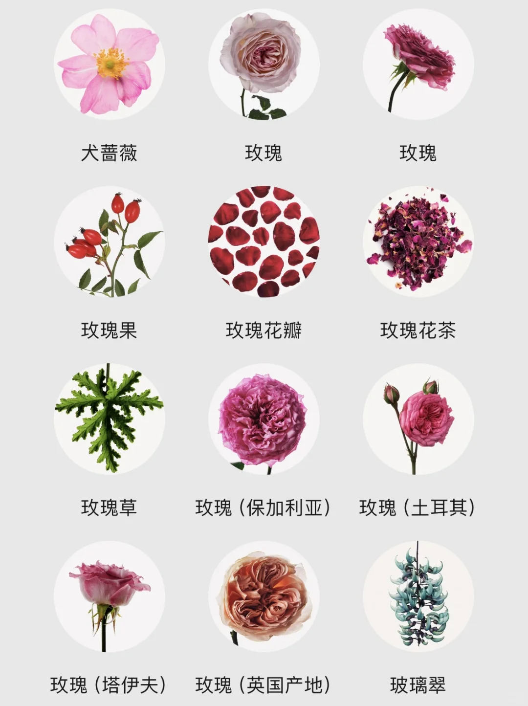 不会还有人不知道香水香调都有哪些吧！