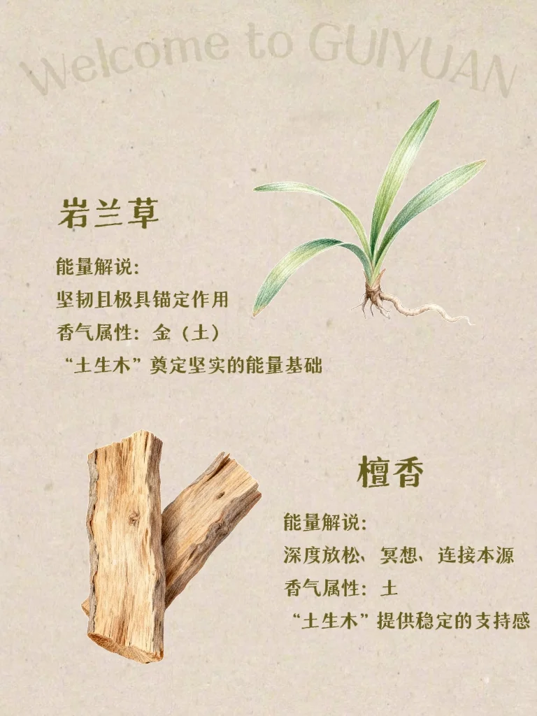 五行×香气｜喜木之人适合的香气