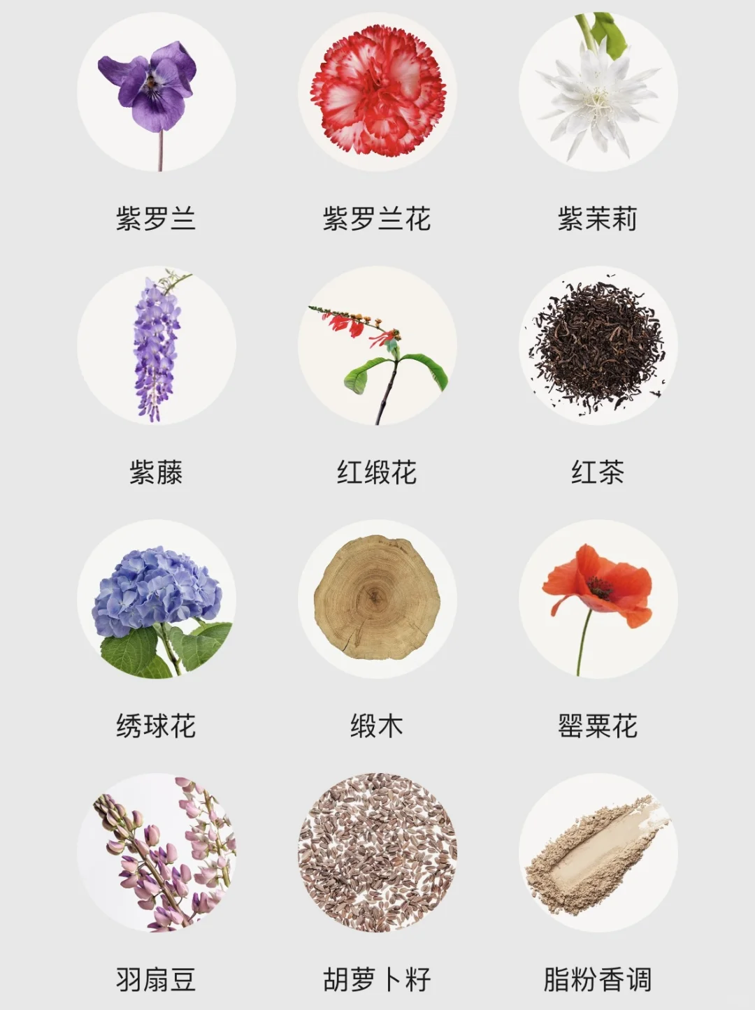 不会还有人不知道香水香调都有哪些吧！