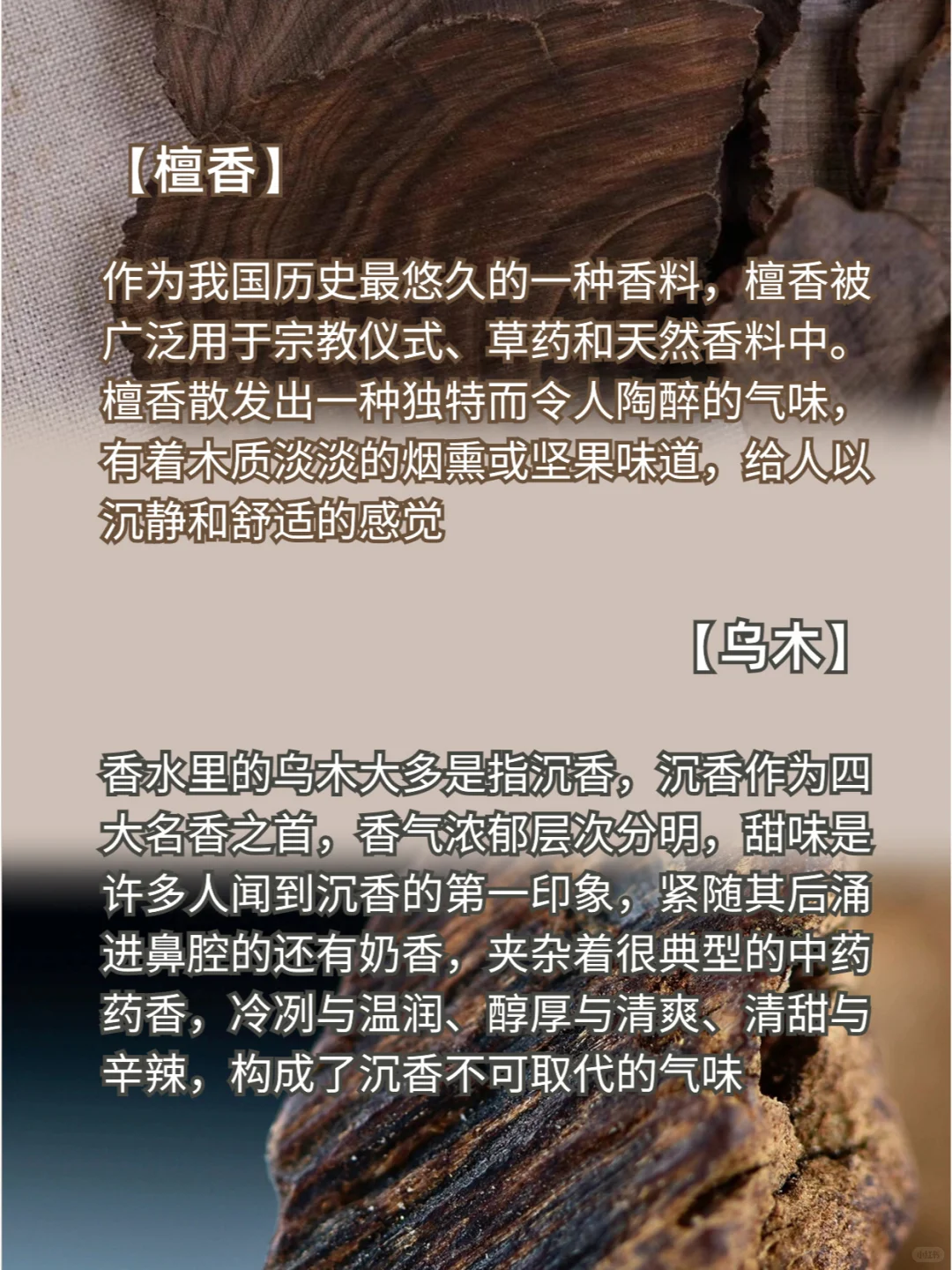 【四月调香室】常见的木质香型有哪些？