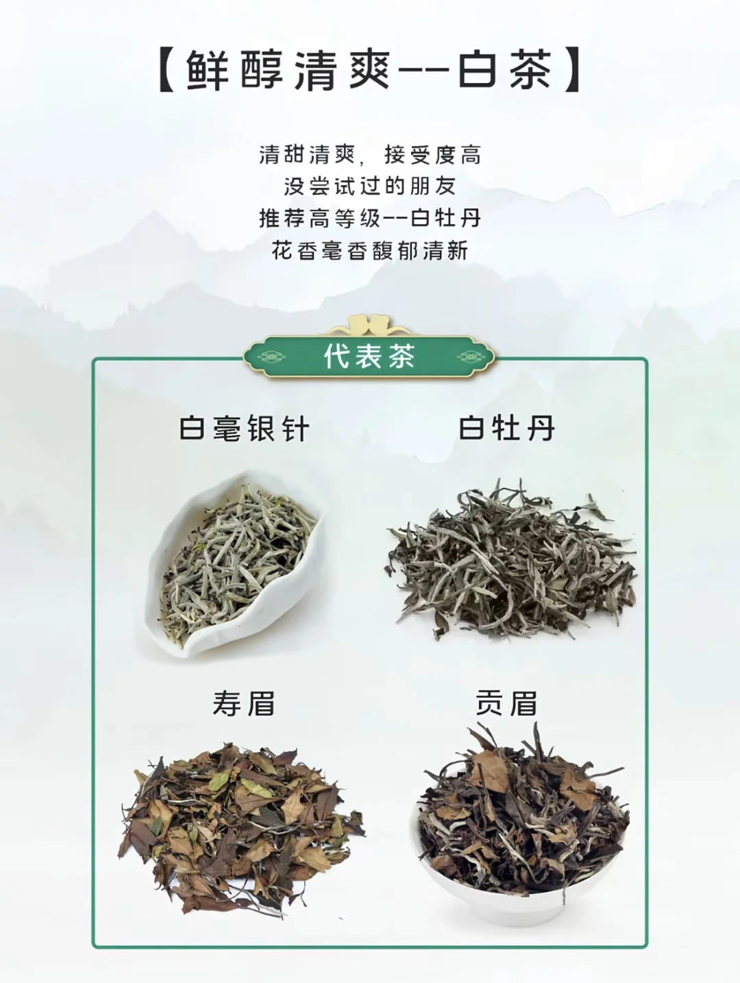 小茶叶大文化—新手选茶指南