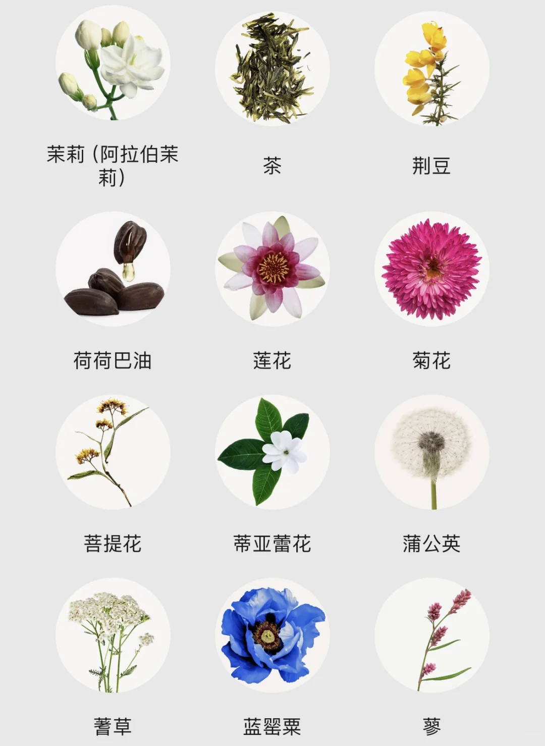 不会还有人不知道香水香调都有哪些吧！