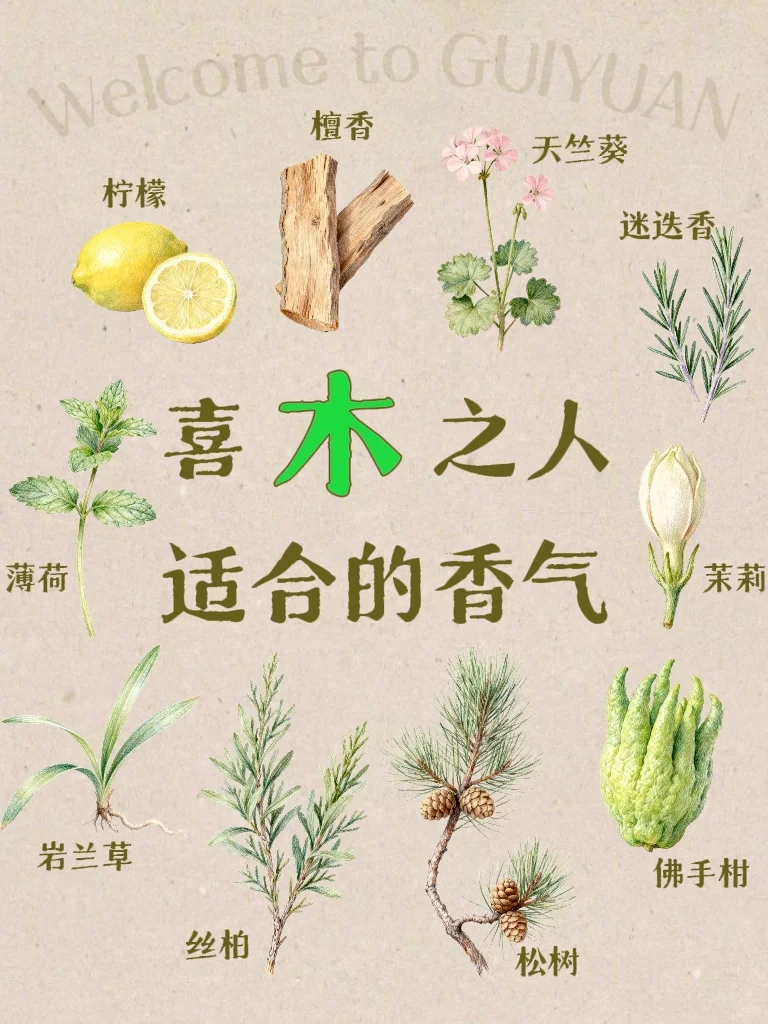 五行×香气｜喜木之人适合的香气