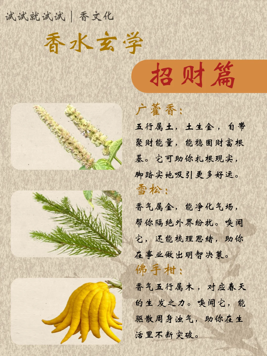 香水玄学|招财篇