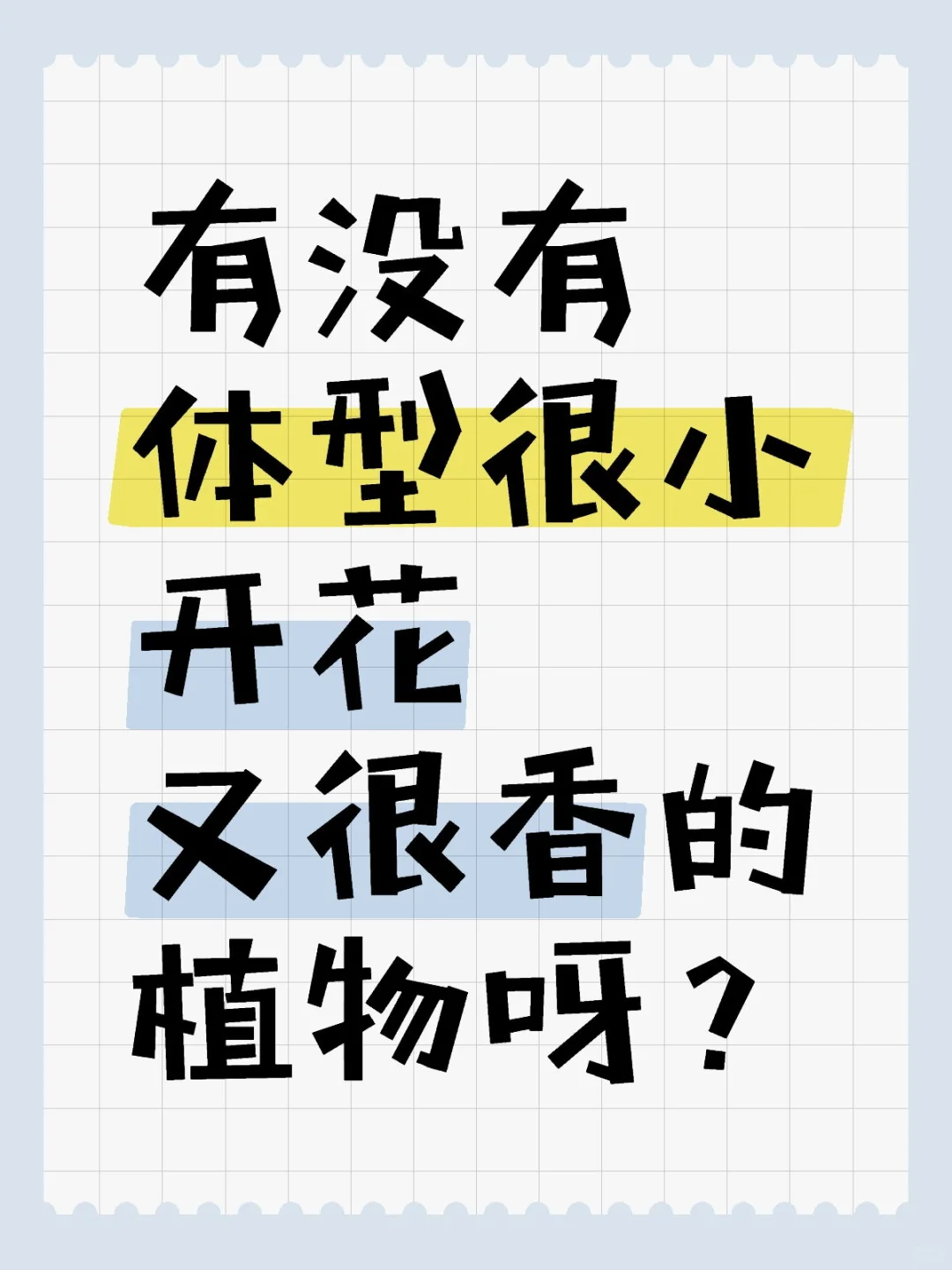 想要收集成一个香香的阳台