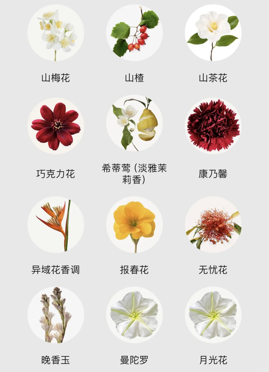 不会还有人不知道香水香调都有哪些吧！