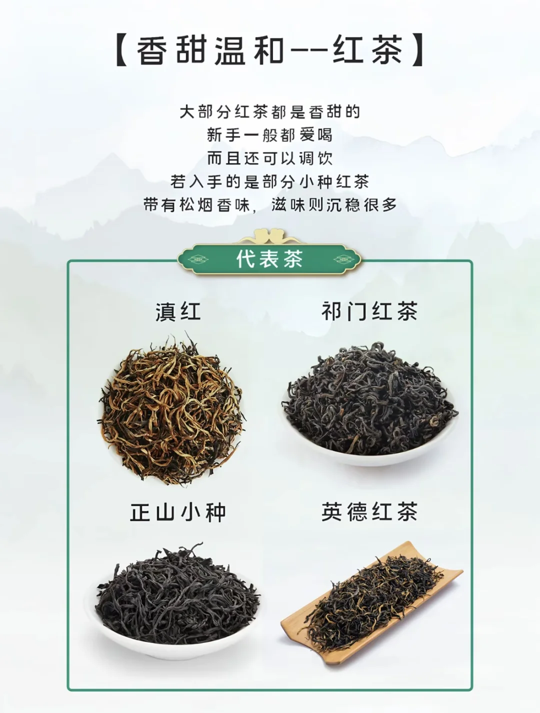 小茶叶大文化—新手选茶指南