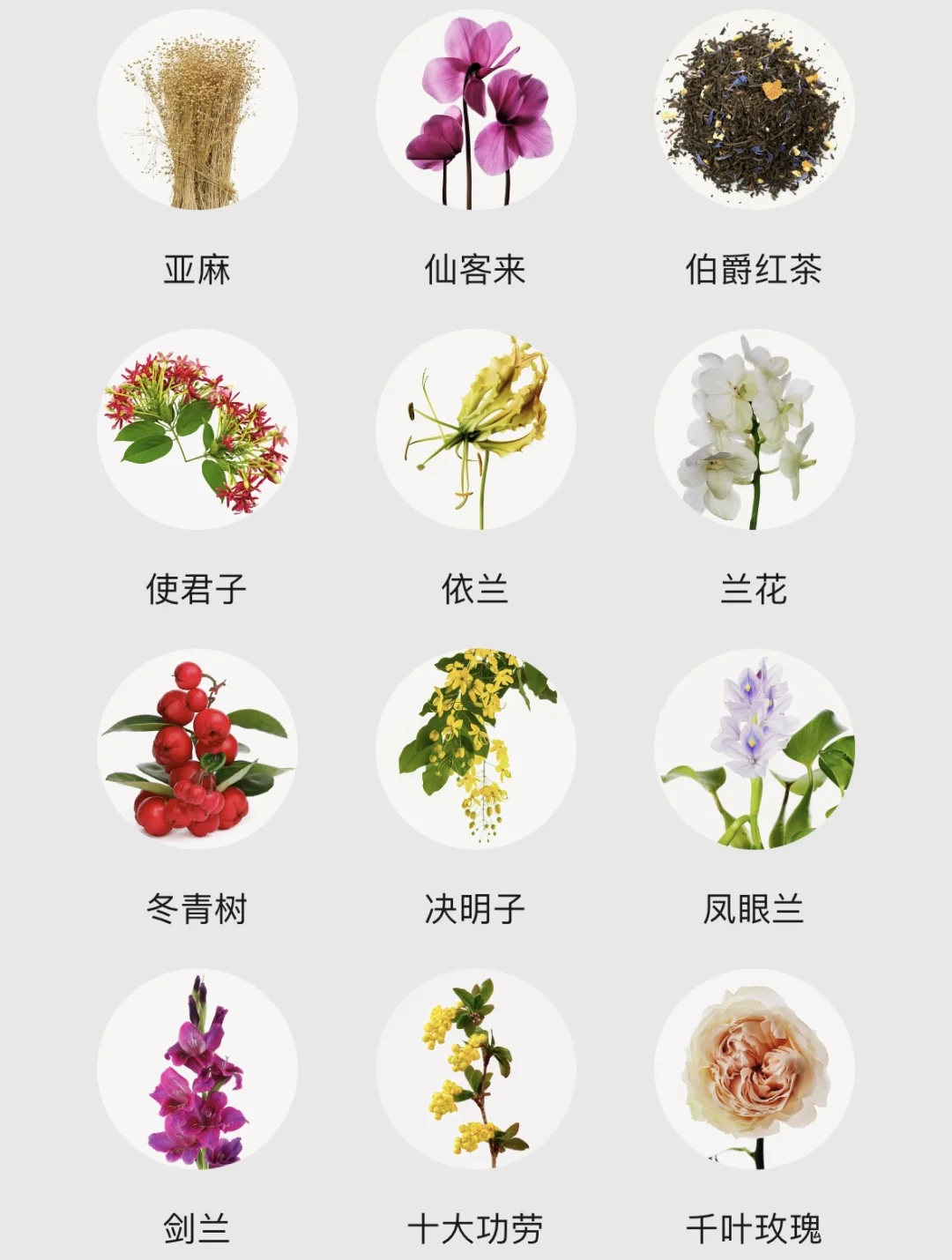 不会还有人不知道香水香调都有哪些吧！