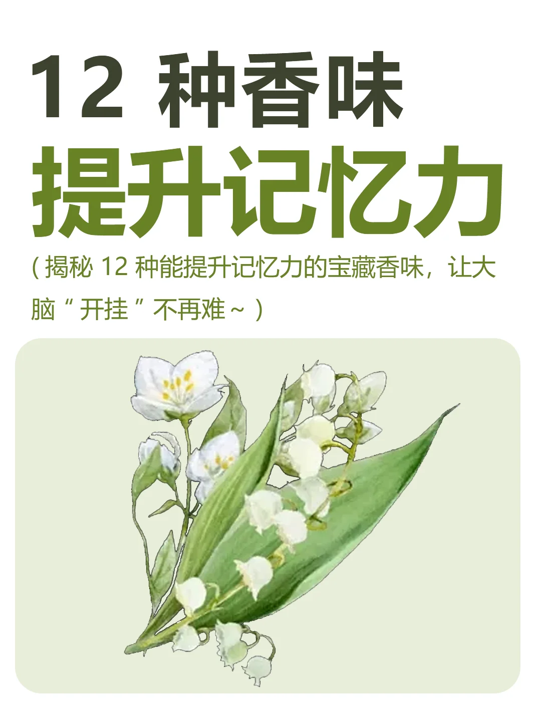 必知！12种记忆力的香味和使用方法！