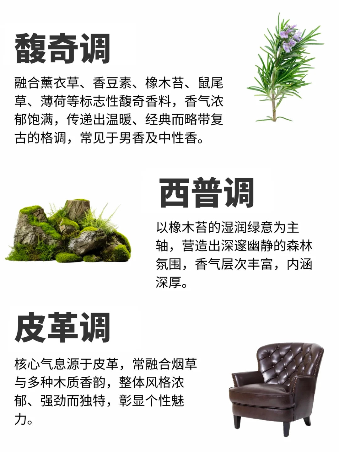 12香调全解析｜调香师私藏分类法，速存！