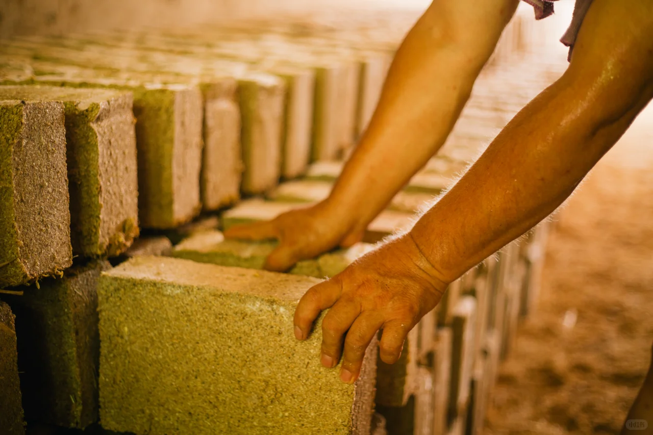 何谓三色曲？一瓶宝丰好酒的背后奥秘