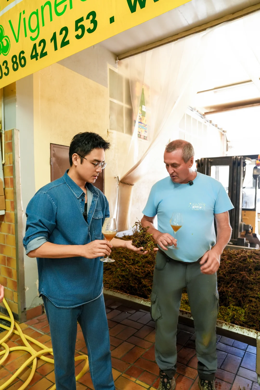 美好的一年｜在勃艮第，我尝到了风土的味道