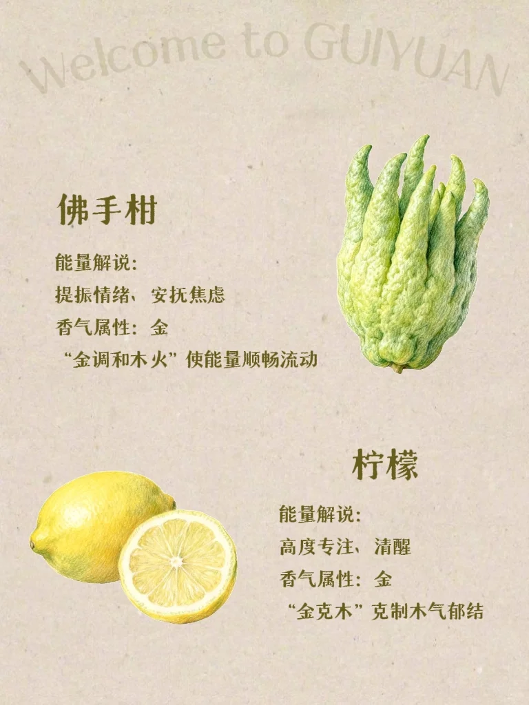 五行×香气｜喜木之人适合的香气