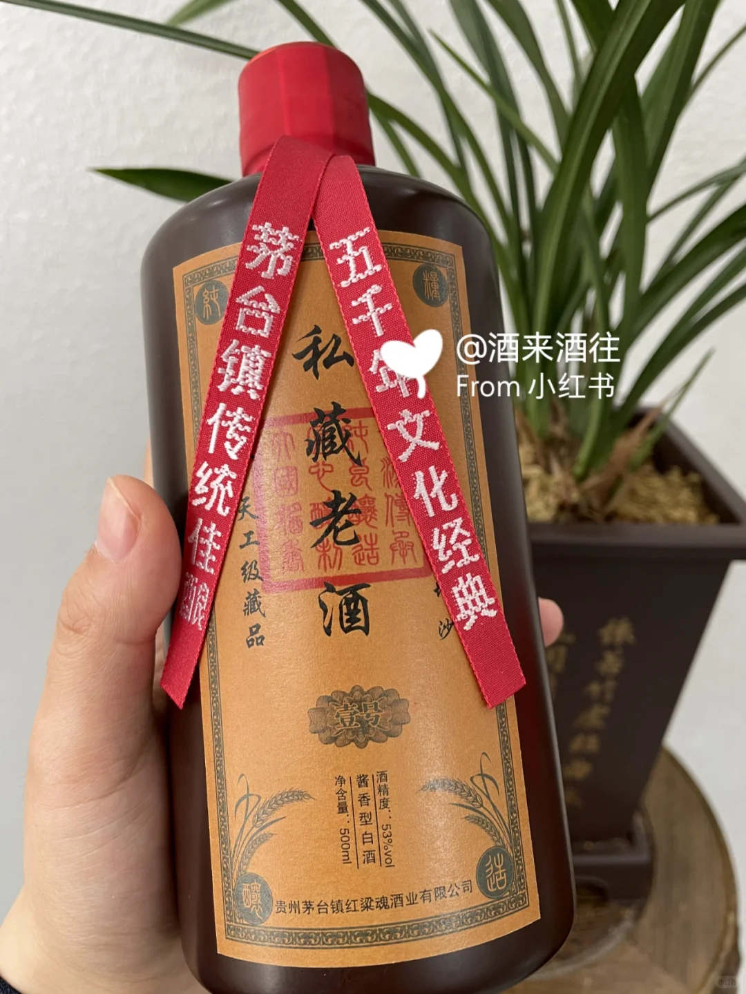 怎样品尝一杯酱香型白酒❓