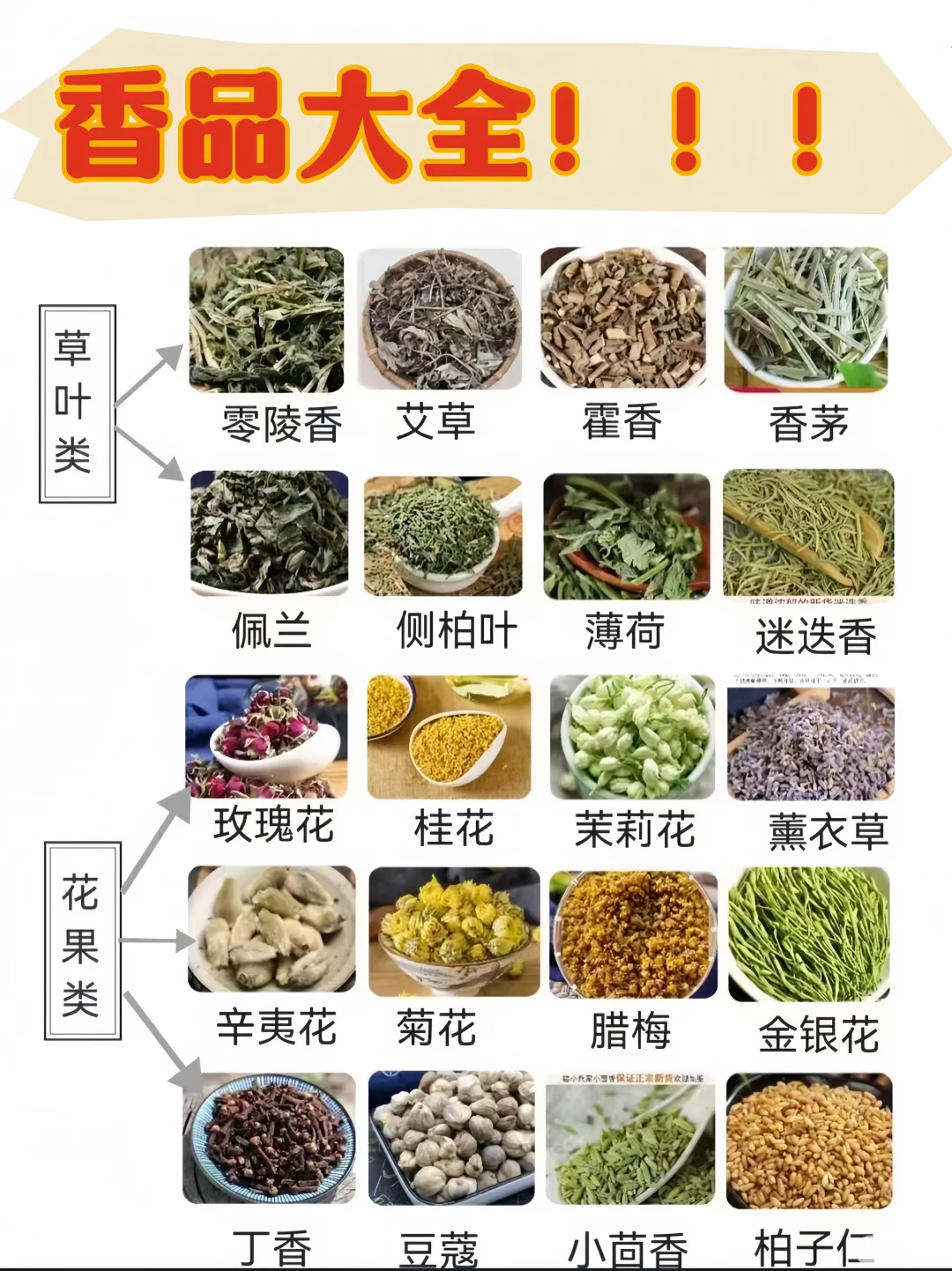 分清香品类别才是真的入门！新 手必看！