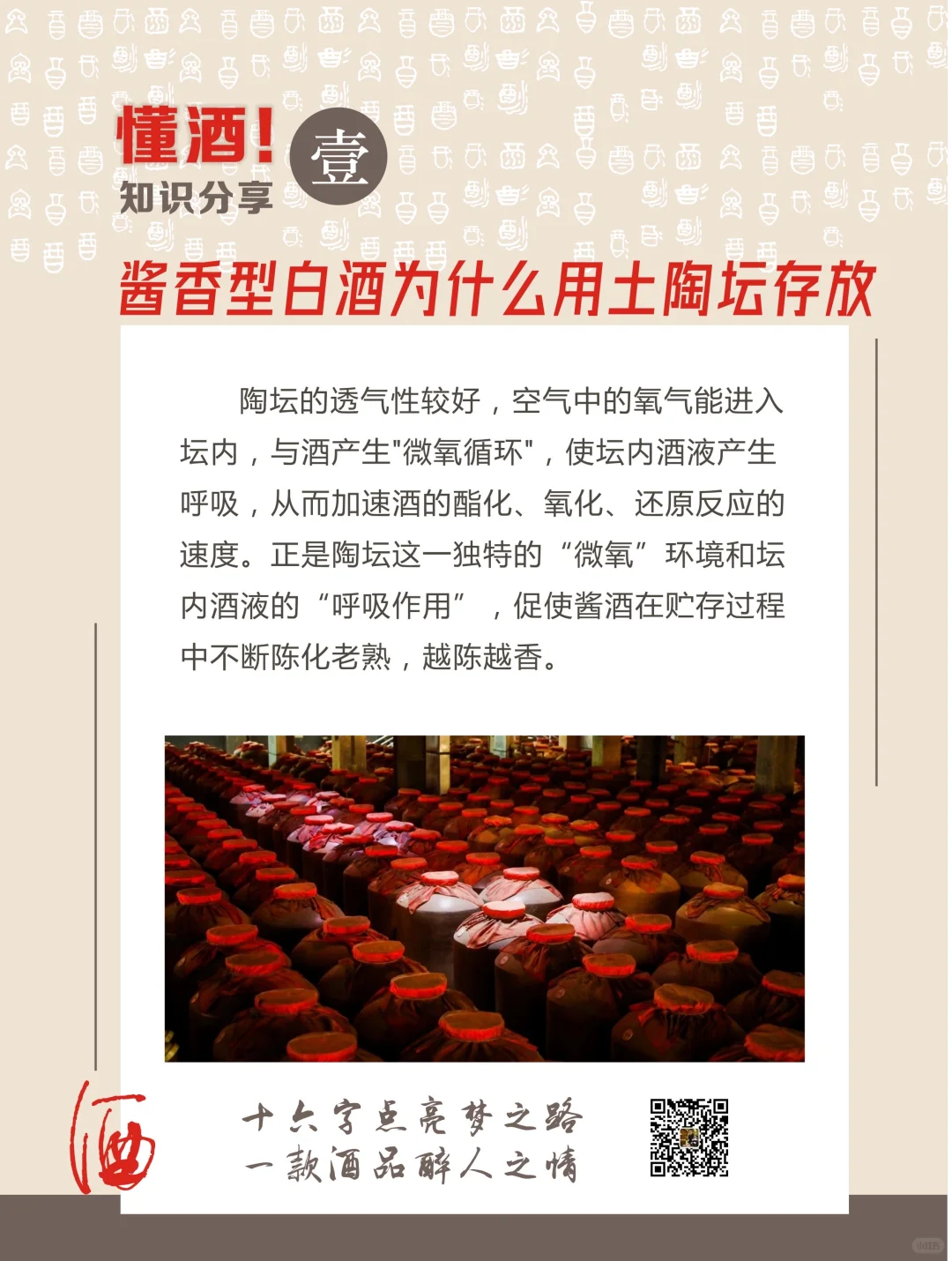 酒桌侃酱酒，小白秒变行家✨