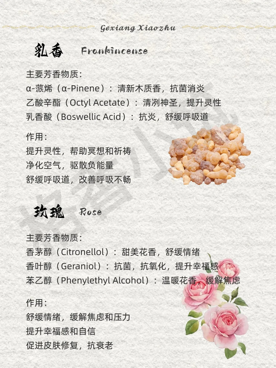 香味科普 | 敏感人群适合的香气