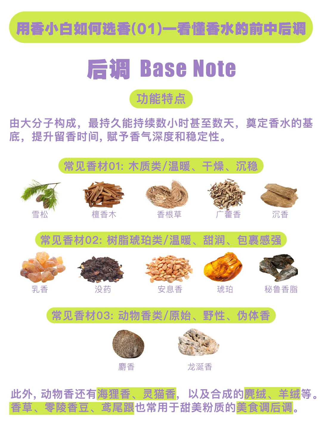 0基础看懂香水金字塔｜选香不踩雷
