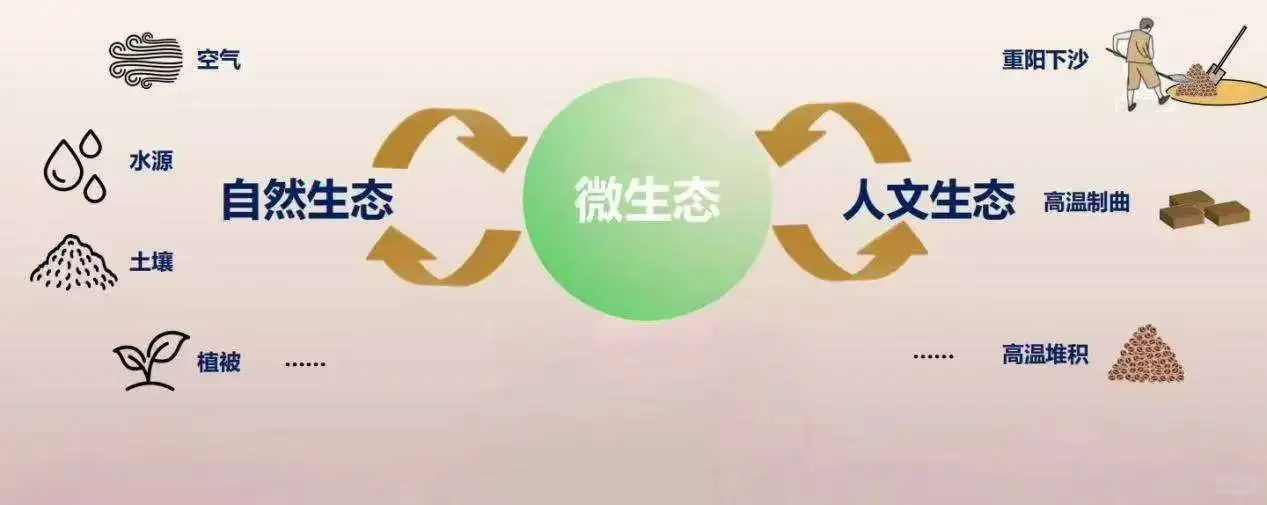 茅台酒酿造原理揭秘