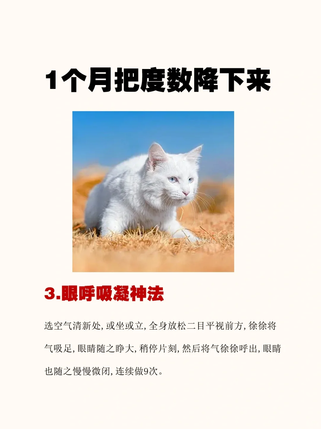 坚持1⃣️个月，把眼睛度数降下来