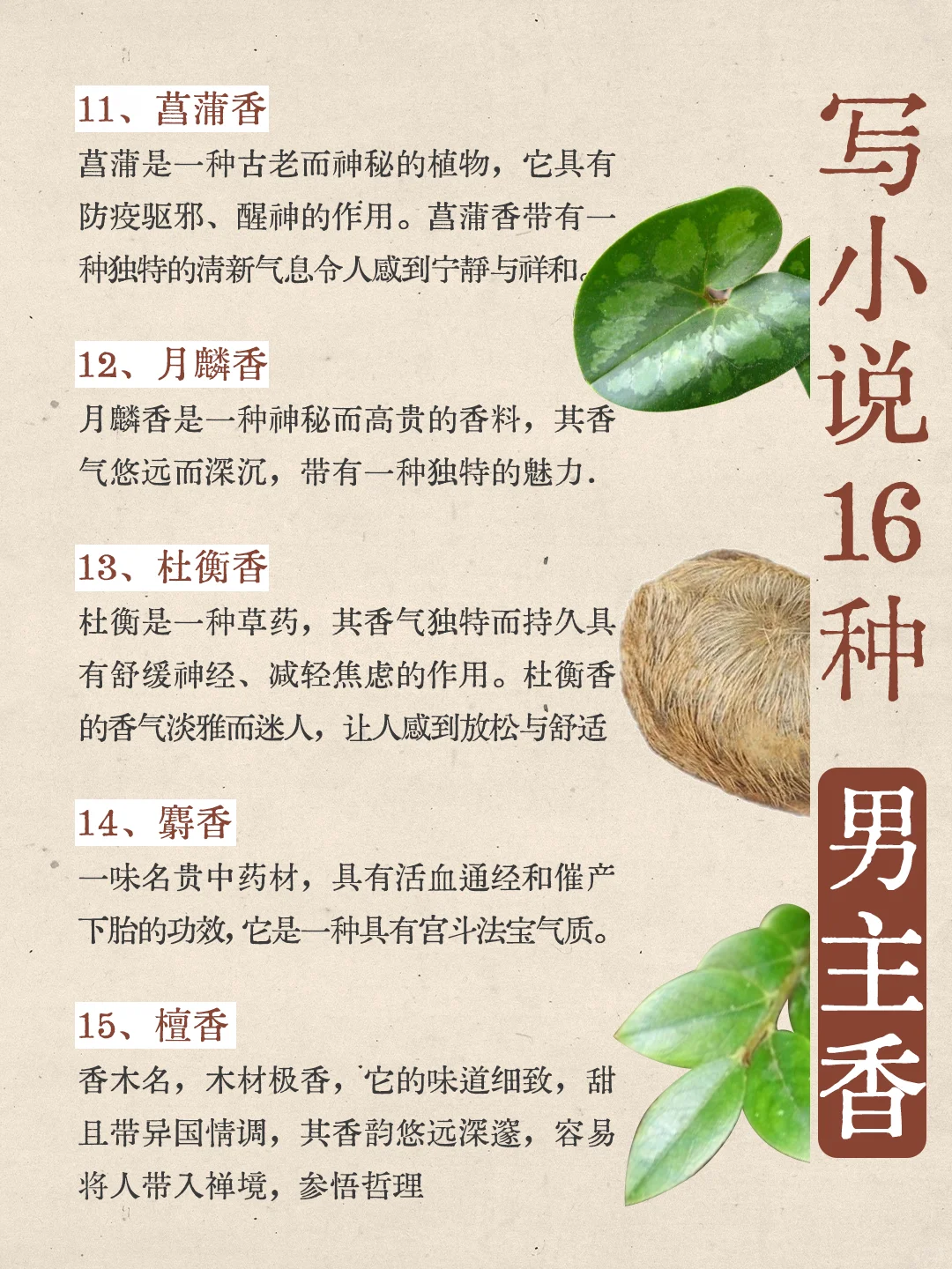 写小说|16种男主香，哪款是你的菜？