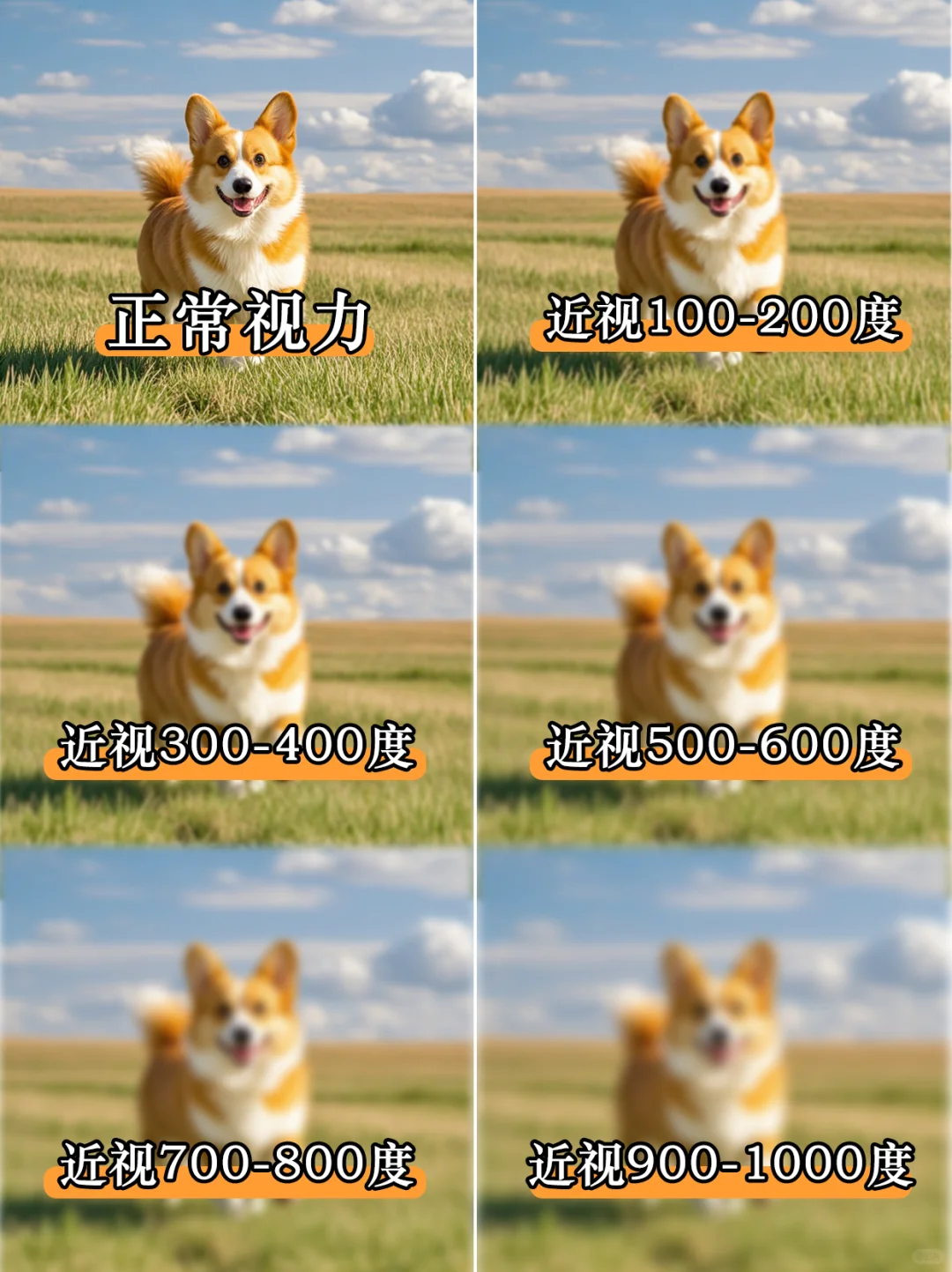 ?来看看不同近视度数看到的世界