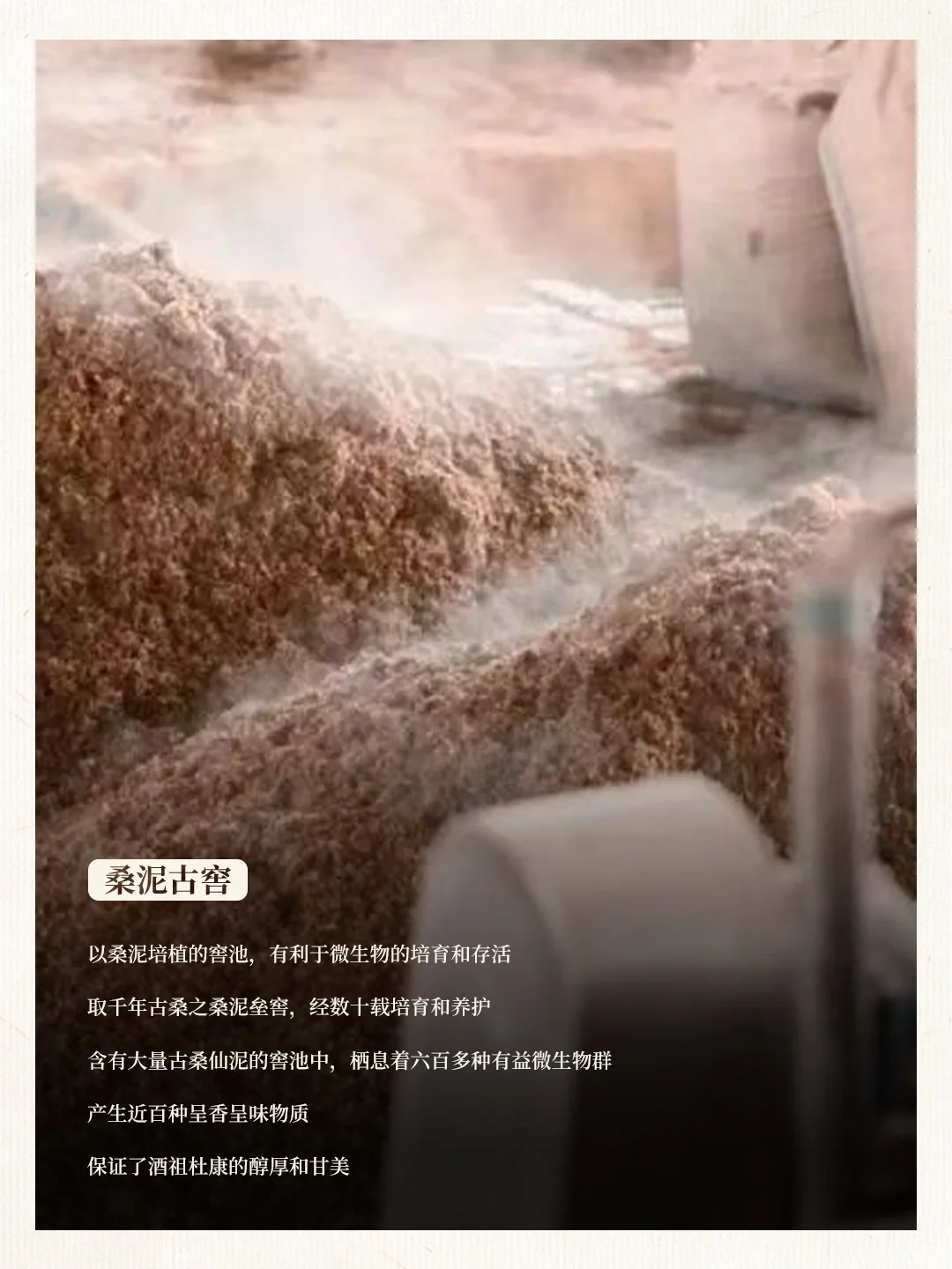 品味，杜康美酒的非遗韵味