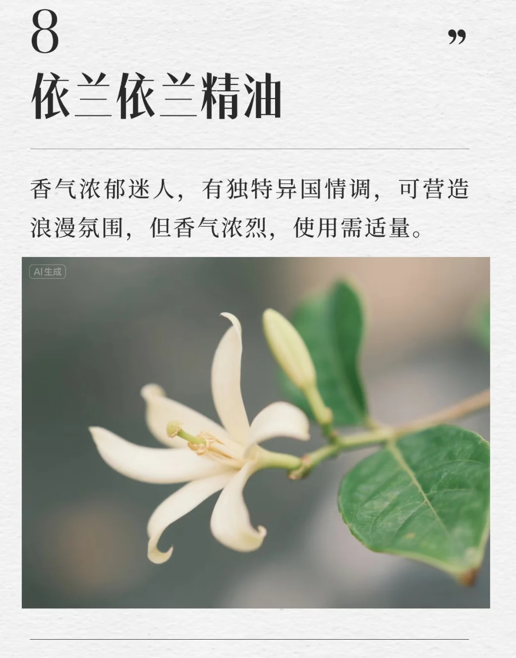 公认最好闻的十大精油，你最喜欢哪一种